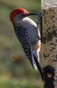 DSC_1760c.jpg