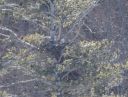 DSC_4352c.jpg
