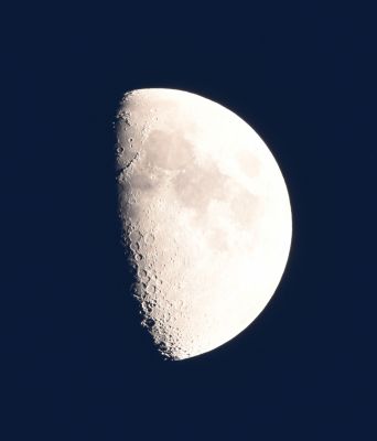 DSC_0739c.jpg