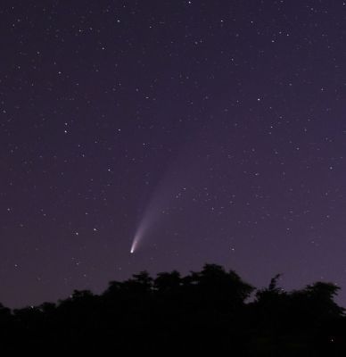 DSC_3896c.jpg