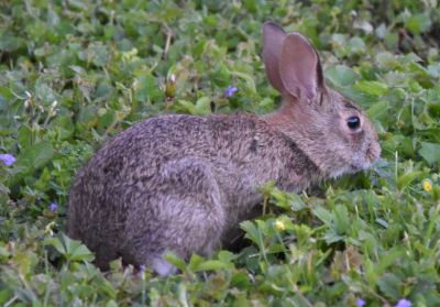 DSC_2943c2.jpg